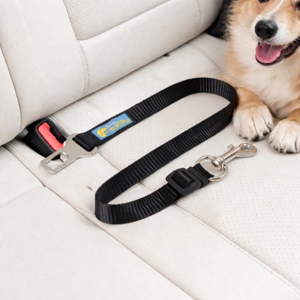 Guia para cinto de segurança SAFE TRAVEL para cachorro