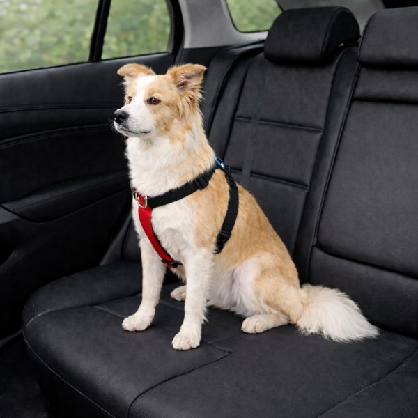 Peitoral para cachorro antipuxão SMART 3 em 1 tamanho M