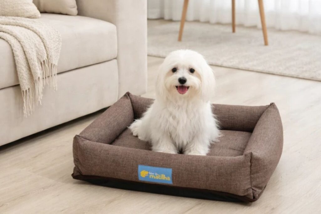 Cachorro de pequeno porte sentado em cama marrom acolchoada dentro de casa.