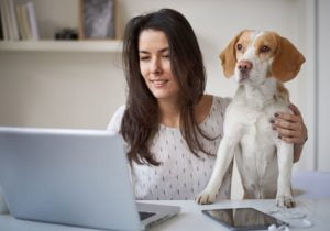 Mulher trabalhando pelo computador com cachorro ao lado