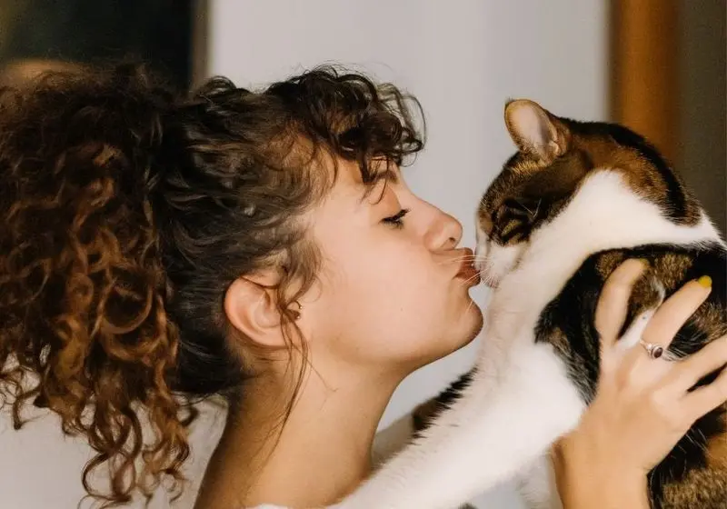 Mulher beijando o nariz de um gato branco com mescla marrom