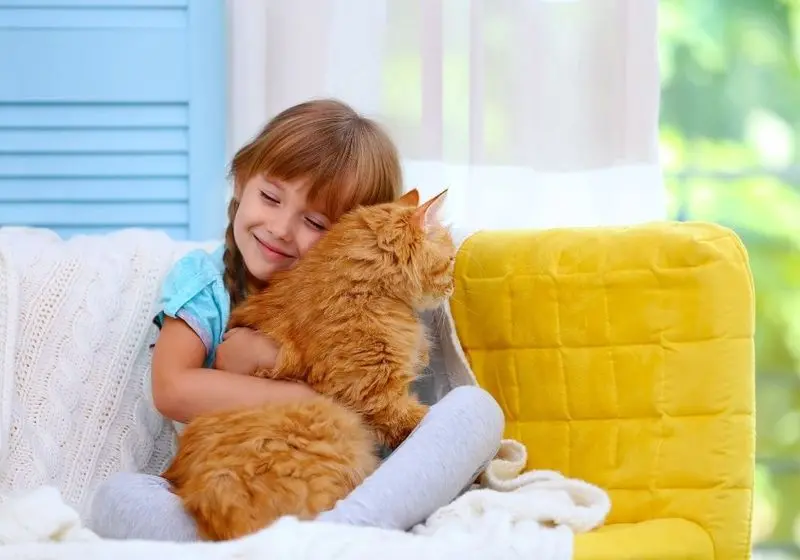 criança ruiva de tranças abraçando um gato laranja, ambos sentados em um sofá amarelo