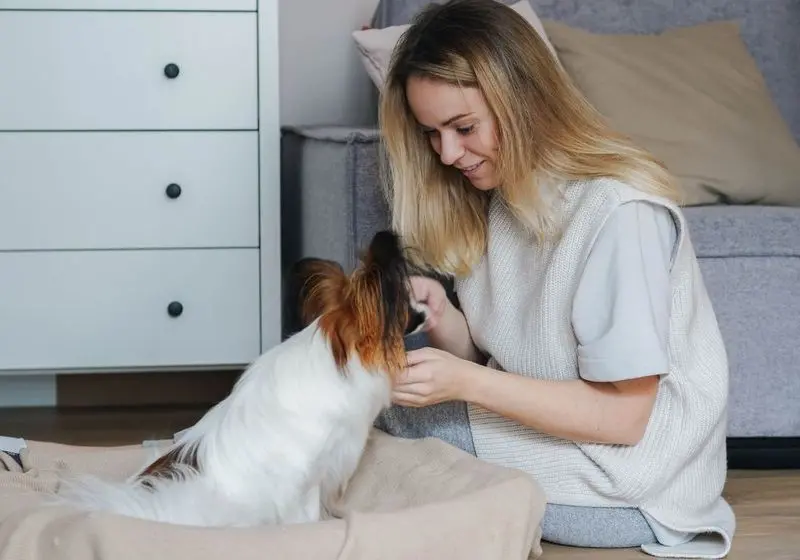 menina loira sentada no chão fazendo carinho em um cachorrinho branco e marrom