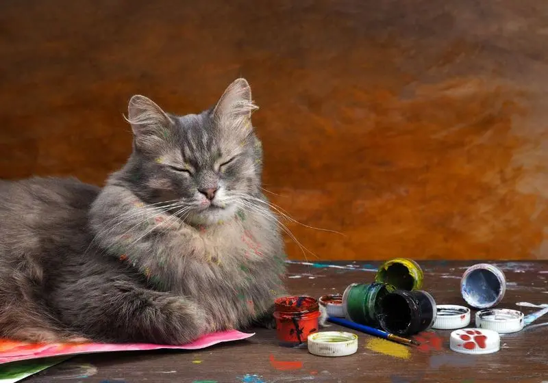 gato cinza de olhos fechados sentado ao lado de pintas de pintura em tela