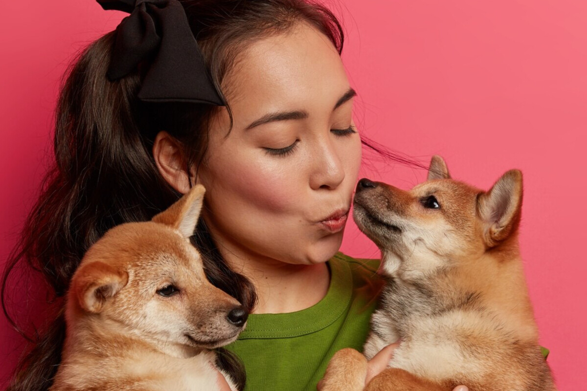 Mulher segurando filhotes de cachorro Shiba Inu