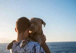 cachorro tem sentimento