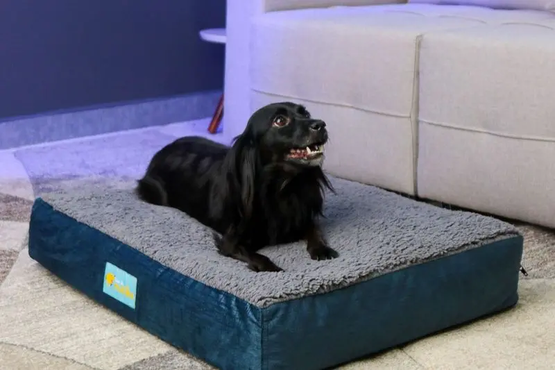 Cama Pet Impermeável Absolute Luxo