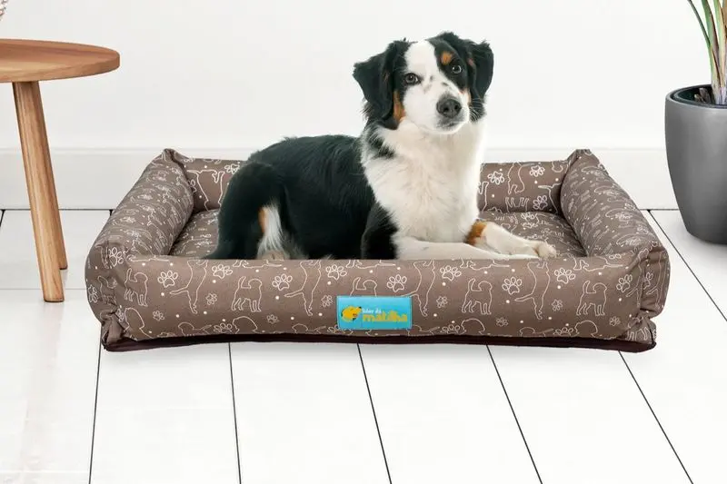 Cama Pet Dog Summer