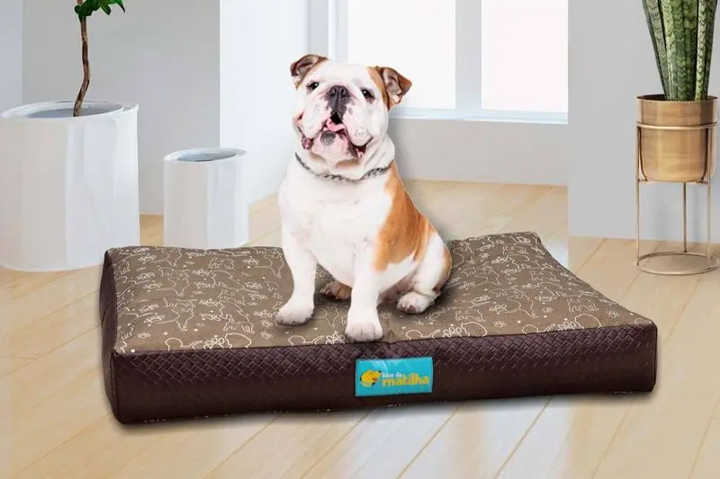 Cama Pet Impermeável Absolute Acquablock