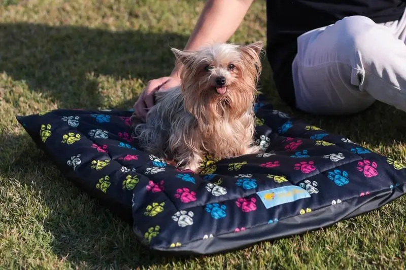 Cama Colchonete Pet Acquablock Impermeável