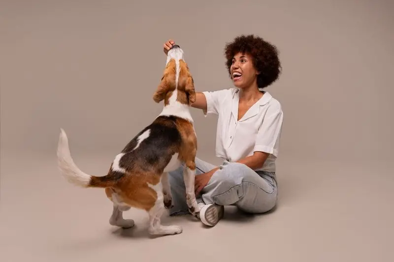 cachorro pode comer manga
