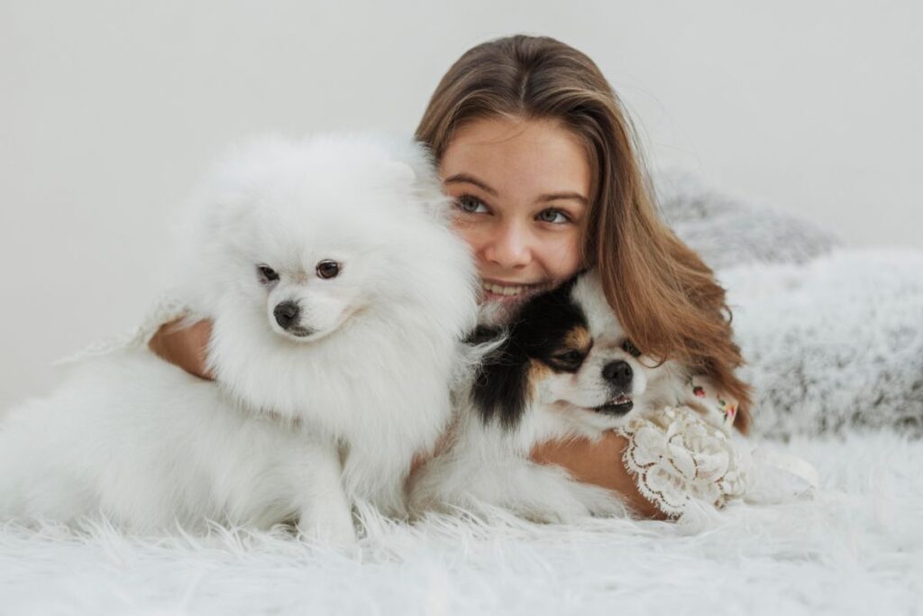 cachorro peludo