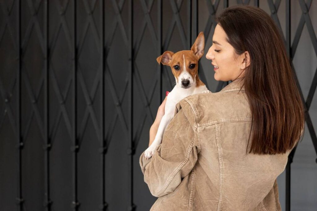 cachorro no colo da sua dona