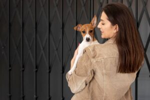 cachorro no colo da sua dona