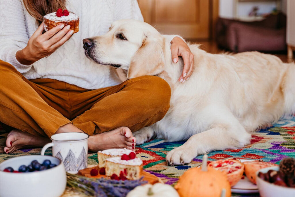 Pessoa comendo bolo ao lado de um cachorro golden retriever