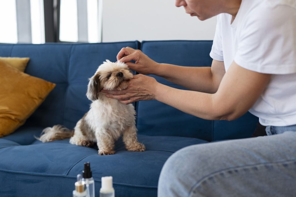 Pessoa cuidando de um cachorro na sala