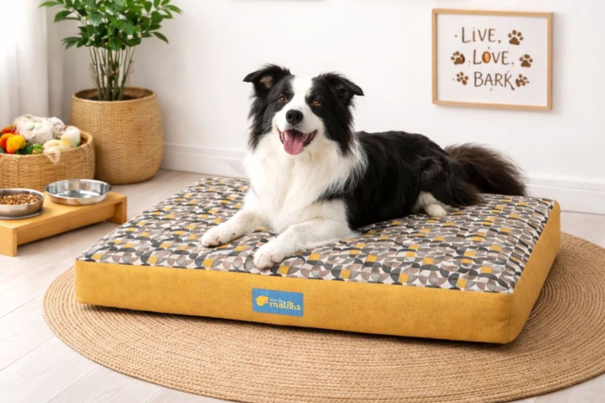 Um cachorro de porte médio com pelagem longa nas cores preta e branca, da raça Border Collie, está deitado de bruços sobre um grande colchonete retangular com estampa geométrica cinza e amarela e laterais amarelas, posicionado em cima de um tapete de sisal redondo.