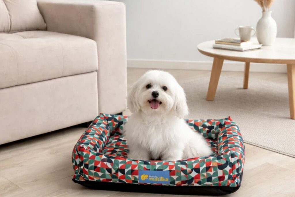 Um cachorro de pequeno porte com pelagem longa e branca está sentado no centro de uma caminha retangular estampada com padrões geométricos coloridos e bordas elevadas acolchoadas, posicionada no chão de uma sala ao lado de um sofá.