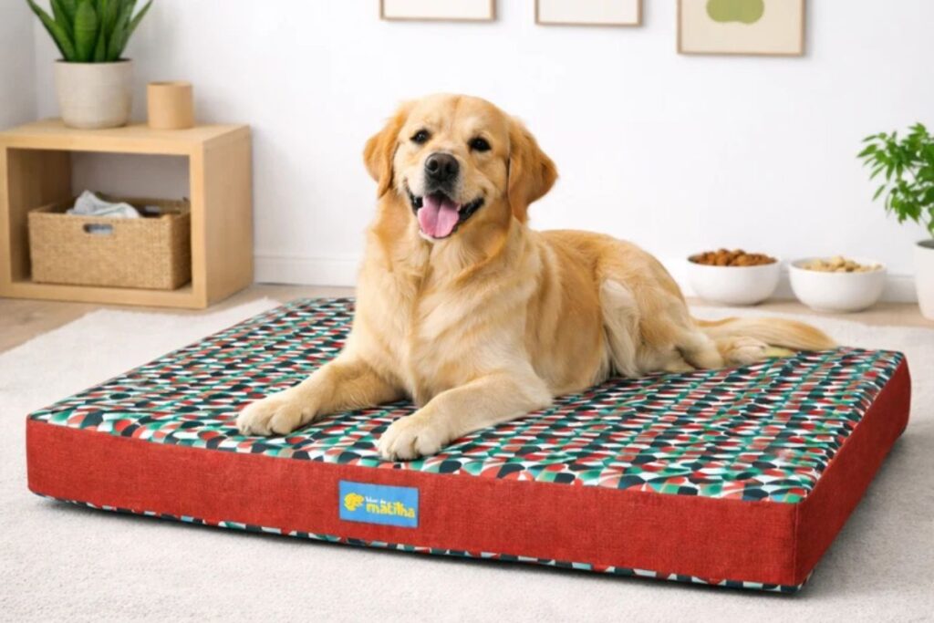 Golden Retriever deitado em cama colchonete estampada para cães de grande porte.