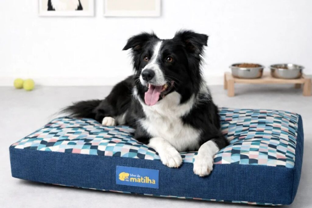 Um cachorro de porte médio com pelagem longa nas cores preta e branca, da raça Border Collie, está deitado de bruços no centro de um colchonete retangular com estampa geométrica azul, rosa e branca e laterais em tecido jeans azul-escuro, posicionado sobre um piso cinza claro.