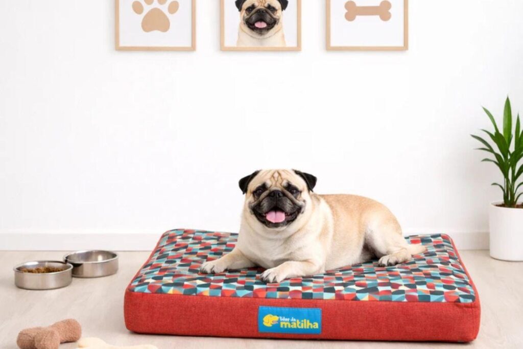 Cachorro Pug deitado em colchão pet estampado dentro de uma sala moderna.