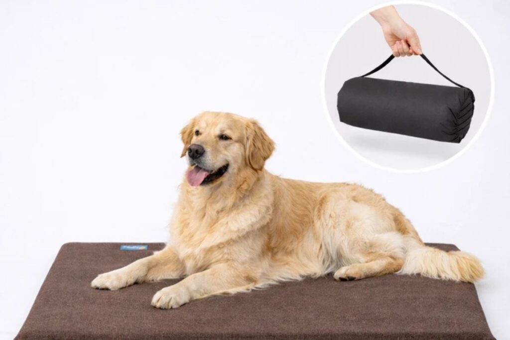 Golden Retriever deitado em colchão pet marrom indicado para cães de grande porte.