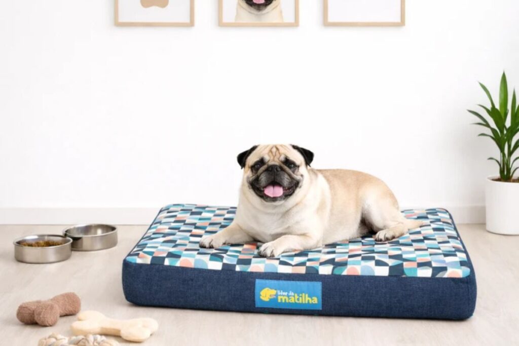 Pug deitado em cama colchonete azul acolchoada para cães.