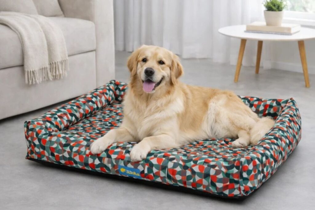 Um cachorro de grande porte com pelagem longa e dourada, da raça Golden Retriever, está deitado de bruços no centro de uma cama pet retangular com estampa geométrica abstrata nas cores verde, vermelha e branca, posicionada sobre um piso cinza em uma sala.