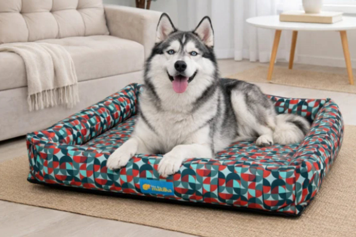 Cão da raça Husky Siberiano deitado e sorridente dentro de uma grande cama retangular com estampa geométrica colorida e bordas elevadas, posicionada sobre um tapete em uma sala de estar.