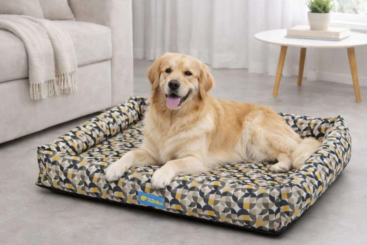 Cão Golden Retriever deitado e sorridente em uma cama retangular com estampa geométrica amarela, cinza e preta, com bordas elevadas acolchoadas, em uma sala de estar.