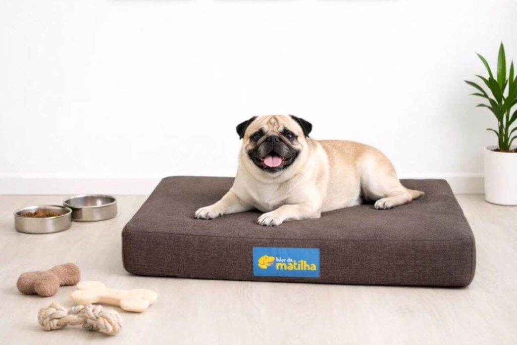 Um cachorro da raça Pug deitado de forma confortável e sorridente sobre uma caminha retangular marrom alta e firme, em um ambiente com piso de madeira clara e parede branca.