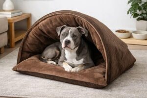 Um cachorro cinza e branco com aparência da raça Pitbull deitado de forma confortável dentro de uma caminha marrom em formato de toca ou iglu de pelúcia, sobre o tapete de uma sala de estar.