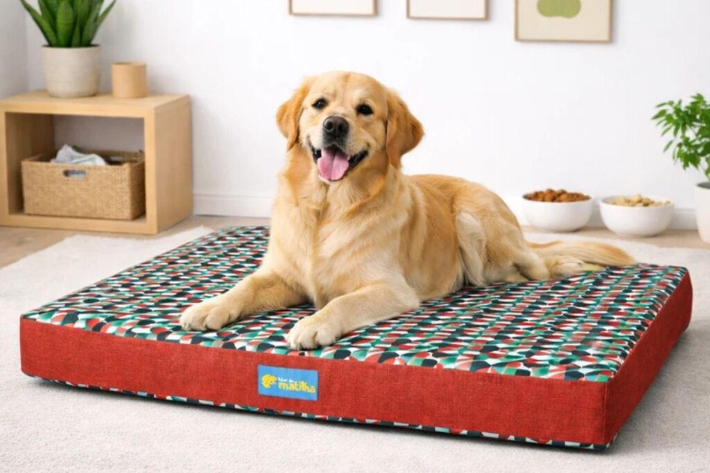 Um cachorro Golden Retriever dourado deitado e sorridente sobre uma caminha retangular alta com estampa geométrica colorida e bordas vermelhas, posicionada em cima de um tapete claro.